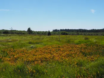 Signal de Botrange (Belgium)